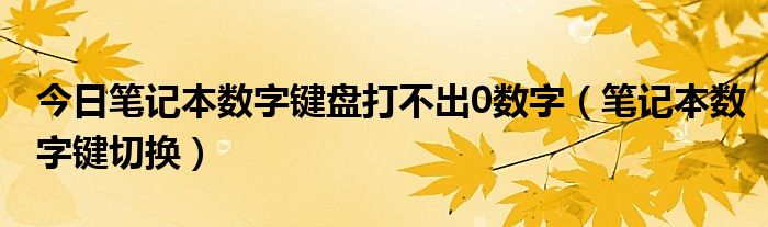 今日笔记本数字键盘打不出0数字（笔记本数字键切换）