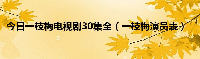 今日一枝梅电视剧30集全（一枝梅演员表）