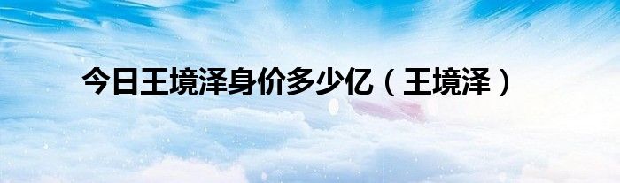 今日王境泽身价多少亿（王境泽）