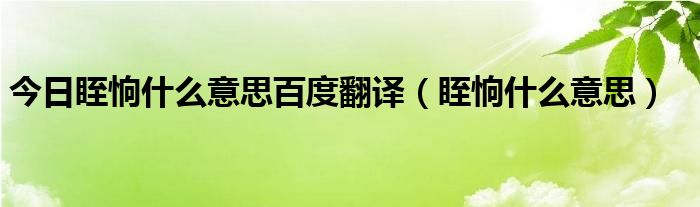 今日眰恦什么意思百度翻译（眰恦什么意思）