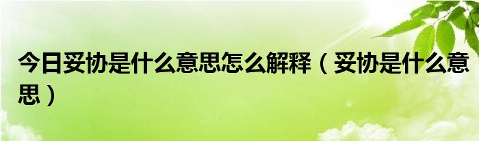 今日妥协是什么意思怎么解释（妥协是什么意思）