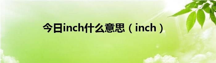 今日inch什么意思（inch）