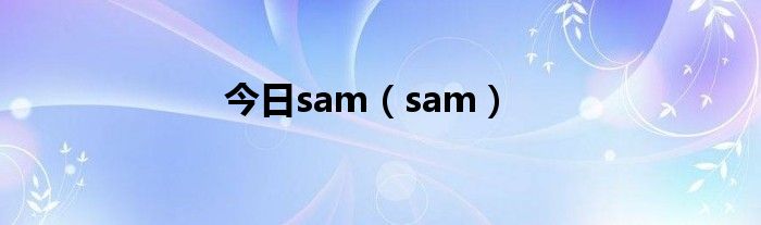 今日sam（sam）