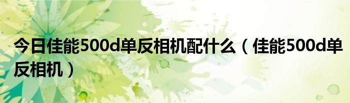 今日佳能500d单反相机配什么（佳能500d单反相机）