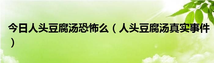 今日人头豆腐汤恐怖么（人头豆腐汤真实事件）