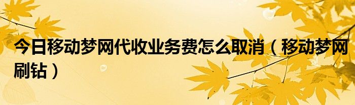 今日移动梦网代收业务费怎么取消（移动梦网刷钻）