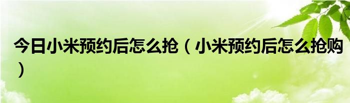 今日小米预约后怎么抢（小米预约后怎么抢购）