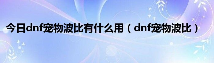 今日dnf宠物波比有什么用（dnf宠物波比）