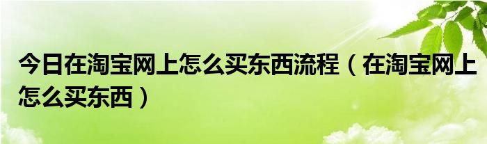 今日在淘宝网上怎么买东西流程（在淘宝网上怎么买东西）