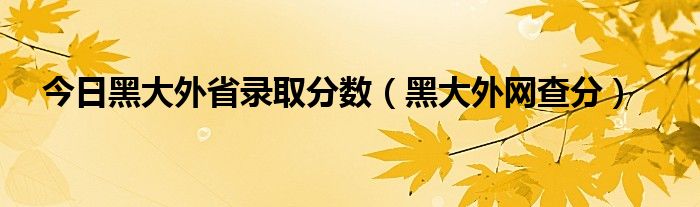 今日黑大外省录取分数（黑大外网查分）