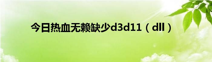 今日热血无赖缺少d3d11（dll）