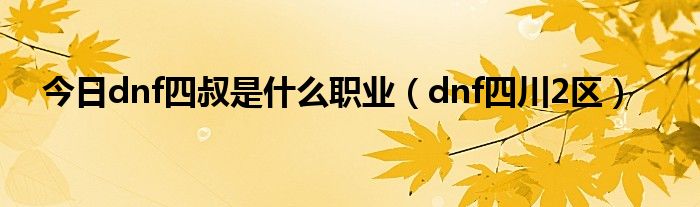 今日dnf四叔是什么职业（dnf四川2区）