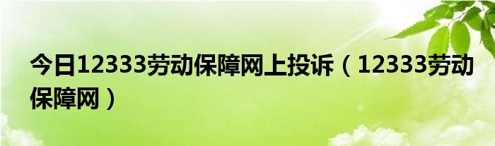 今日12333劳动保障网上投诉（12333劳动保障网）