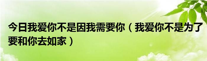 今日我爱你不是因我需要你（我爱你不是为了要和你去如家）