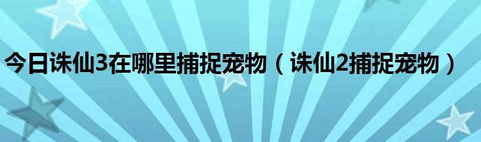 今日诛仙3在哪里捕捉宠物（诛仙2捕捉宠物）