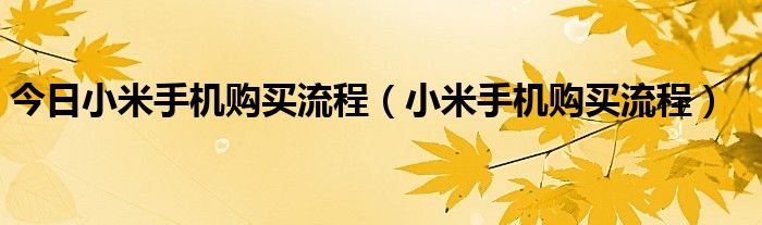 今日小米手机购买流程（小米手机购买流程）