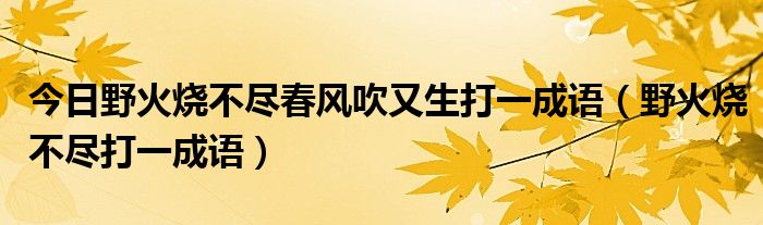 今日野火烧不尽春风吹又生打一成语（野火烧不尽打一成语）