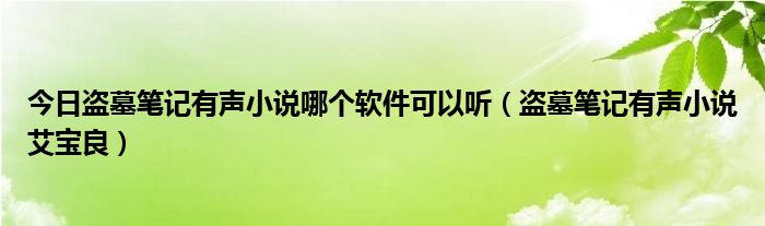 今日盗墓笔记有声小说哪个软件可以听（盗墓笔记有声小说艾宝良）