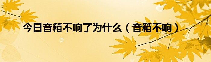 今日音箱不响了为什么（音箱不响）