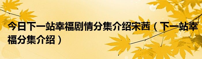 今日下一站幸福剧情分集介绍宋茜（下一站幸福分集介绍）