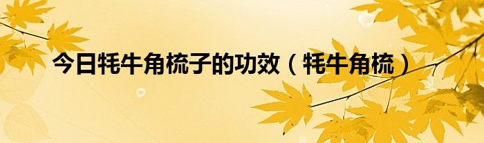 今日牦牛角梳子的功效（牦牛角梳）