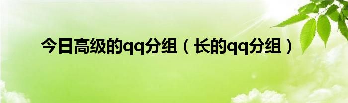 今日高级的qq分组（长的qq分组）