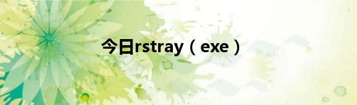 今日rstray（exe）