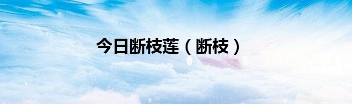 今日断枝莲（断枝）