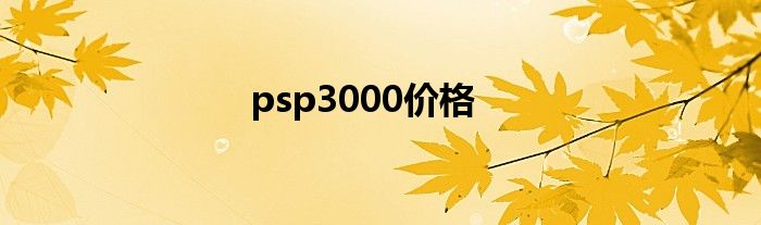 psp3000价格