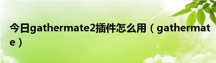 今日gathermate2插件怎么用（gathermate）