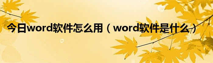 今日word软件怎么用（word软件是什么）