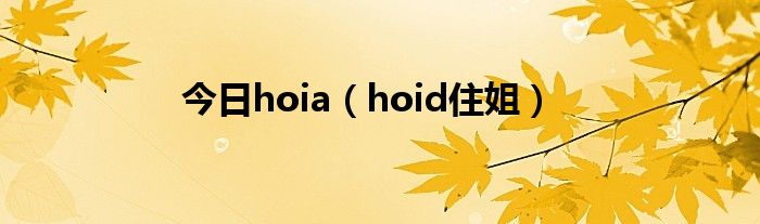 今日hoia（hoid住姐）