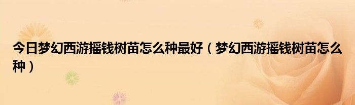 今日梦幻西游摇钱树苗怎么种最好（梦幻西游摇钱树苗怎么种）