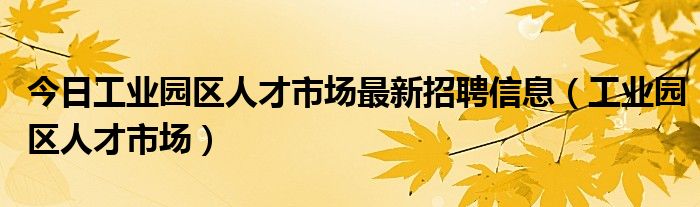 今日工业园区人才市场最新招聘信息（工业园区人才市场）