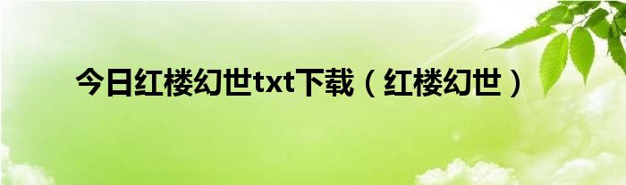 今日红楼幻世txt下载（红楼幻世）