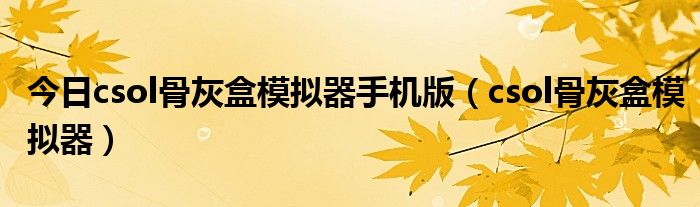 今日csol骨灰盒模拟器手机版（csol骨灰盒模拟器）