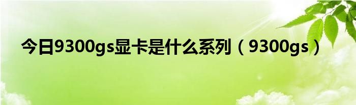 今日9300gs显卡是什么系列（9300gs）