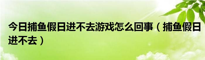 今日捕鱼假日进不去游戏怎么回事（捕鱼假日进不去）