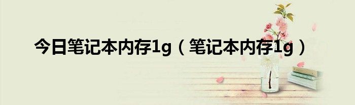 今日笔记本内存1g（笔记本内存1g）