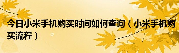 今日小米手机购买时间如何查询（小米手机购买流程）