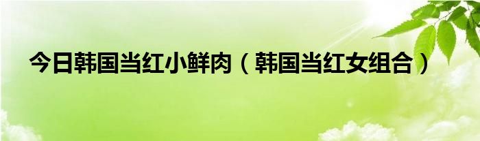 今日韩国当红小鲜肉（韩国当红女组合）