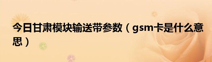 今日甘肃模块输送带参数（gsm卡是什么意思）