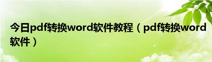 今日pdf转换word软件教程（pdf转换word软件）