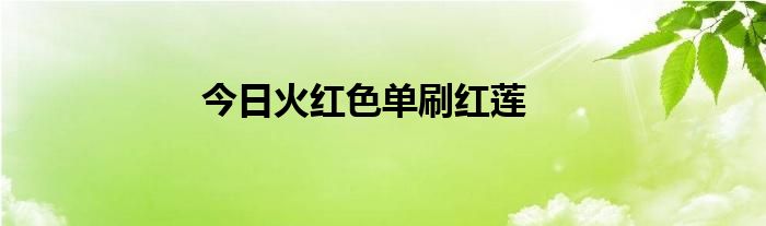 今日火红色单刷红莲