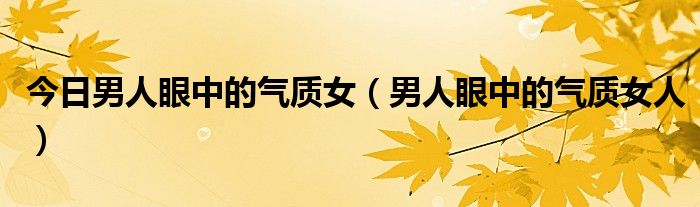 今日男人眼中的气质女（男人眼中的气质女人）