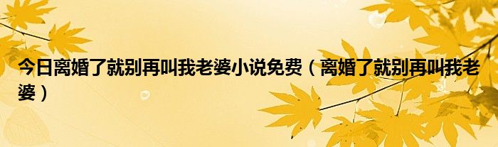 今日离婚了就别再叫我老婆小说免费（离婚了就别再叫我老婆）