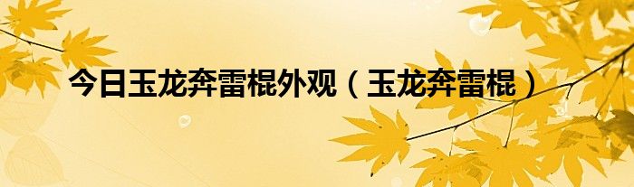 今日玉龙奔雷棍外观（玉龙奔雷棍）