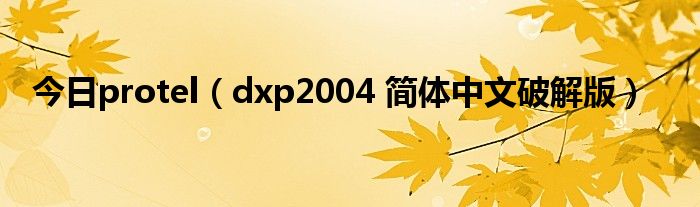 今日protel（dxp2004 简体中文破解版）