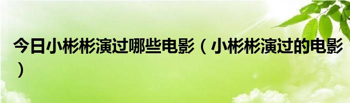 今日小彬彬演过哪些电影（小彬彬演过的电影）