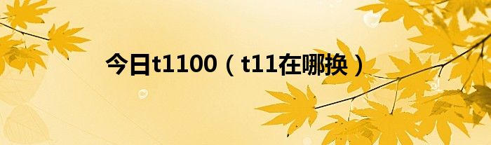 今日t1100（t11在哪换）